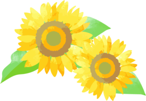 himawari